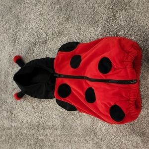 Ladybug costume
